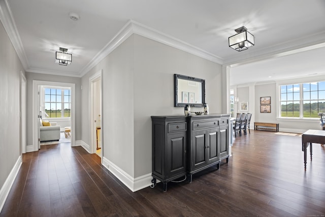 66 High St Unit 31, Guilford, CT 06437 - corridor with dark wood-style floors, healthy amount of natural light, and ornamental molding