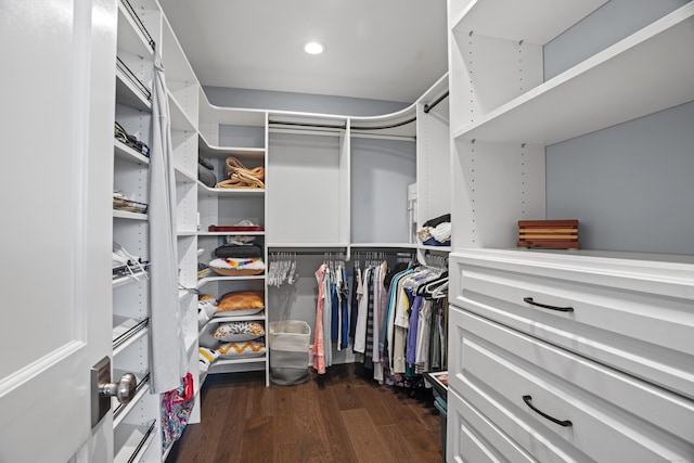 66 High St Unit 31, Guilford, CT 06437 - walk in closet featuring dark wood-style floors