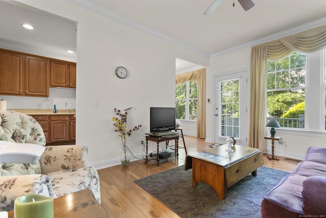 12 Sampson Ter Unit 12, Danbury, CT 06810 - living room with ornamental molding, light wood-style flooring, a ceiling fan, and recessed lighting