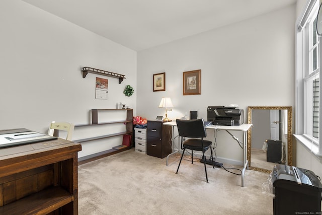 12 Sampson Ter Unit 12, Danbury, CT 06810 - office with carpet flooring