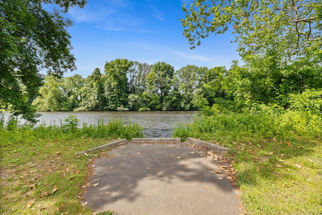 13 Waterview Dr, Windsor, CT 06095 - water view with a forest
