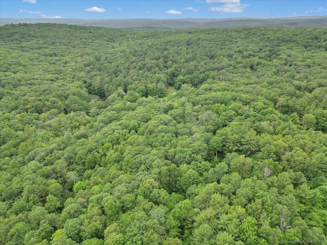 Jared Sparks Rd, Willington, CT 06279 - photo 3