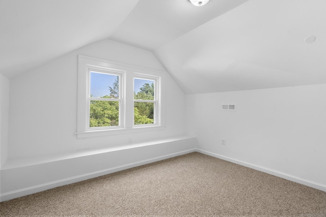 78 Pine St, Waterbury, CT 06710 - bonus room featuring carpet floors and lofted ceiling