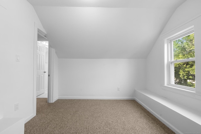 78 Pine St, Waterbury, CT 06710 - bonus room featuring lofted ceiling and carpet
