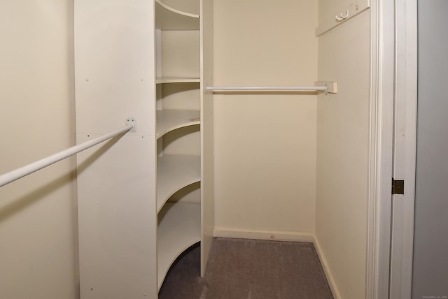 11 Thistle Way Apt D, East Windsor, CT 06016 - spacious closet featuring carpet floors