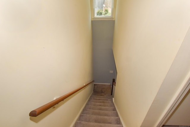 11 Thistle Way Apt D, East Windsor, CT 06016 - stairs featuring baseboards and carpet flooring