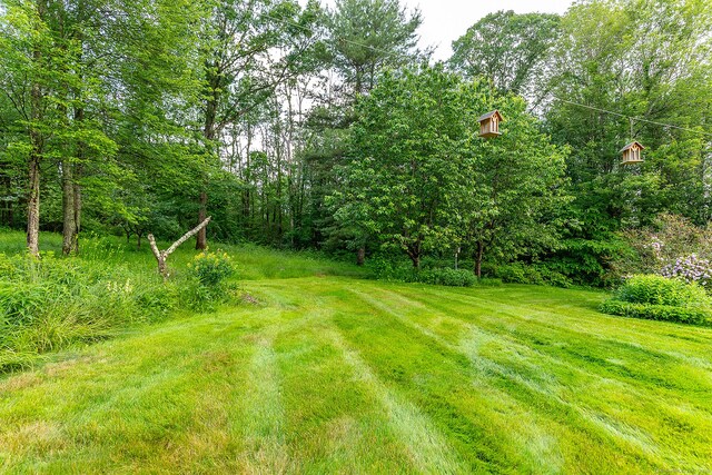 1489 Goshen Rd, Torrington, CT 06790 - photo 33
