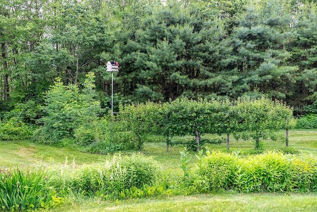 1489 Goshen Rd, Torrington, CT 06790 - photo 34