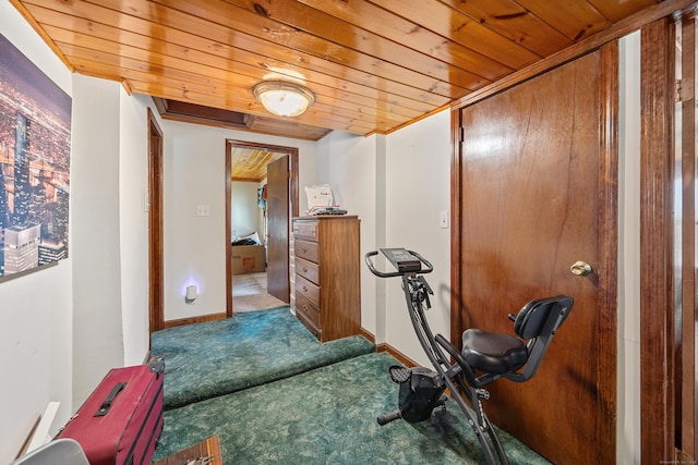 141 Peach Orchard Rd, Waterbury, CT 06706 - workout area with wooden ceiling and carpet flooring