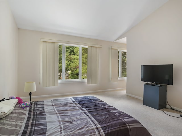 11 Boulevard Dr Unit 10-44, Danbury, CT 06810 - bedroom featuring carpet and vaulted ceiling