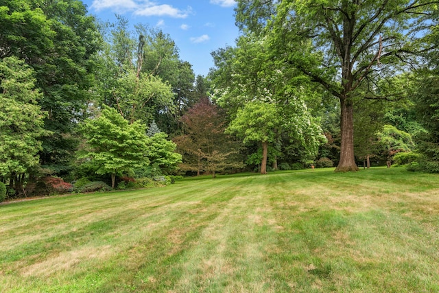39 Campbell Rd, Fairfield, CT 06824 - view of grassy yard featuring a wooded view