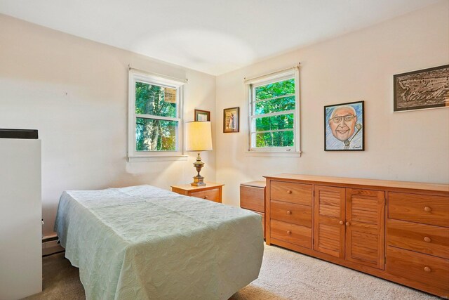 41 White Birch Dr, Trumbull, CT 06611 - bedroom with light carpet and baseboard heating