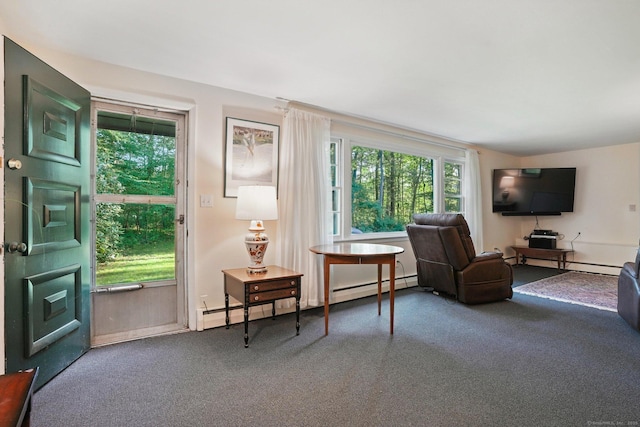41 White Birch Dr, Trumbull, CT 06611 - living room featuring carpet flooring, baseboard heating, and a baseboard heating unit