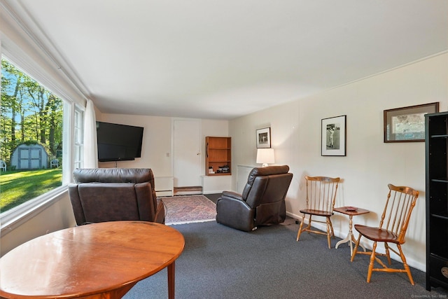 41 White Birch Dr, Trumbull, CT 06611 - carpeted living room featuring baseboards