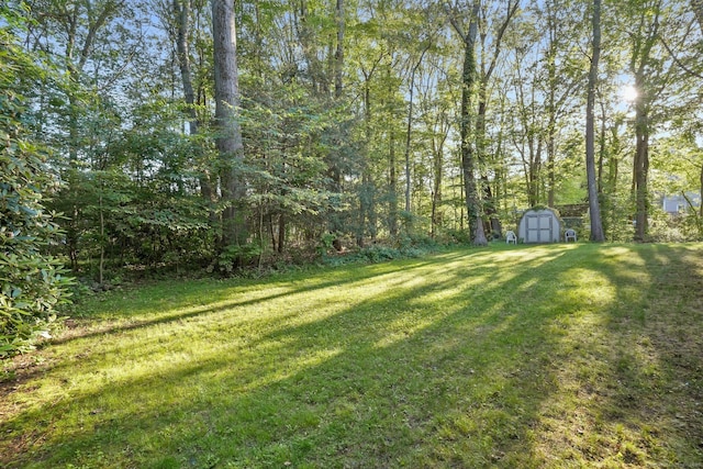 41 White Birch Dr, Trumbull, CT 06611 - view of green lawn featuring a storage unit