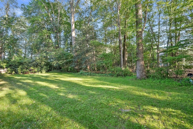 41 White Birch Dr, Trumbull, CT 06611 - view of grassy yard