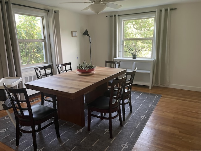 41 Baxter Dr, Norwalk, CT 06854 - dining room with plenty of natural light, dark wood-style flooring, and a ceiling fan