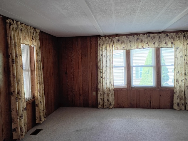 65 Woodland Park, Shelton, CT 06484 - spare room featuring carpet floors, wood walls, and a textured ceiling