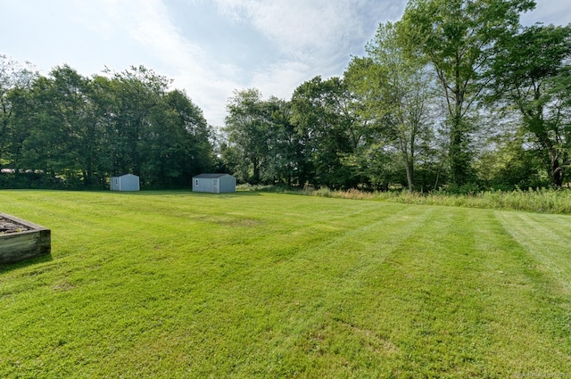 28 Clementel Dr, Durham, CT 06422 - view of green lawn with a shed