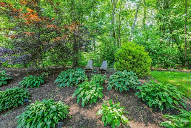 66 Warren Gln, Burlington, CT 06013 - photo 11