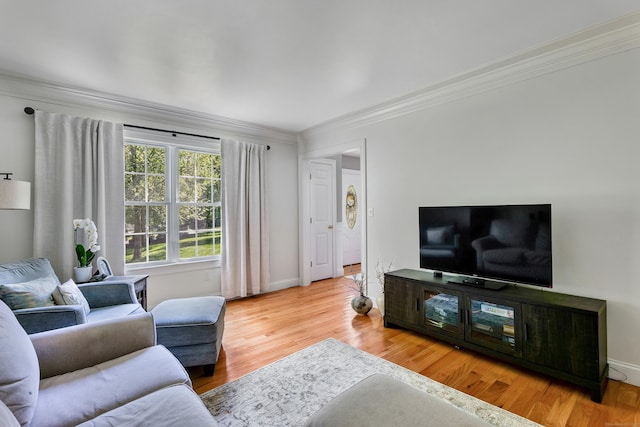 66 Warren Gln, Burlington, CT 06013 - photo 23