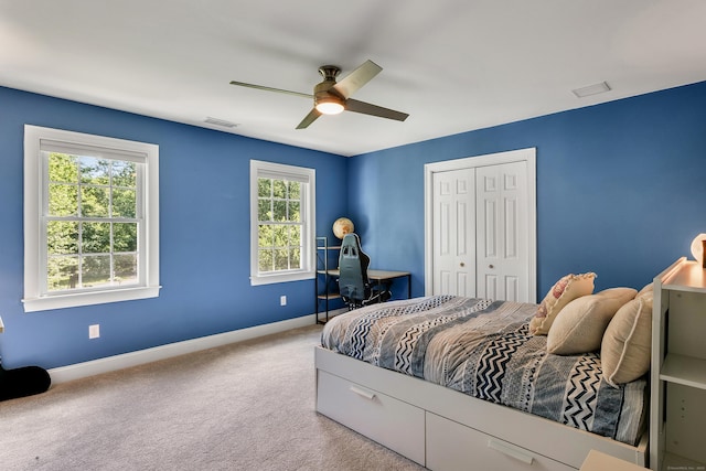 66 Warren Gln, Burlington, CT 06013 - photo 28