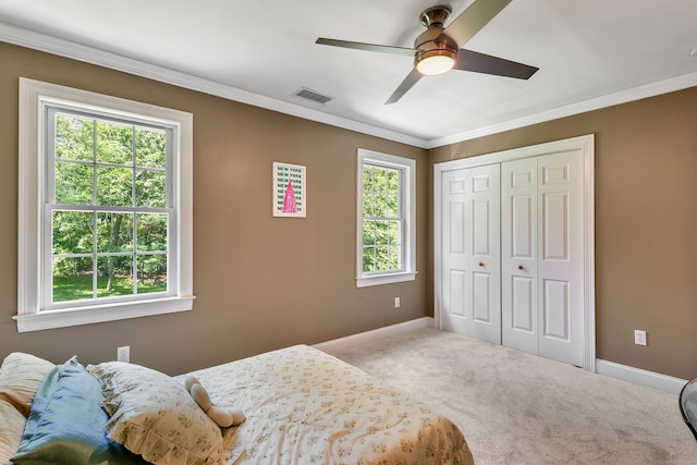 66 Warren Gln, Burlington, CT 06013 - photo 30