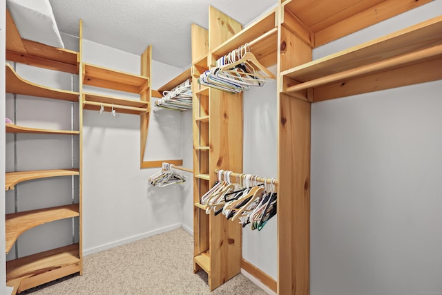 100 Chandler, Windsor, CT 06095 - walk in closet with carpet