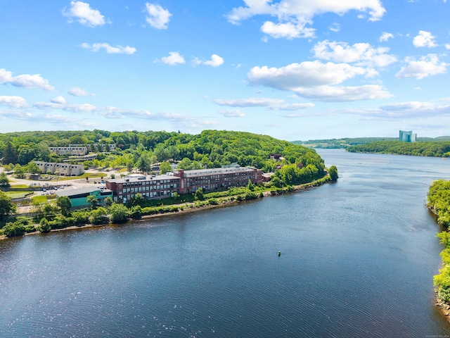 68 Thermos Ave Unit 302D, Norwich, CT 06360 - water view with a heavily wooded area