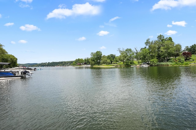 44 N Lake Shore Dr, Brookfield, CT 06804 - photo 4