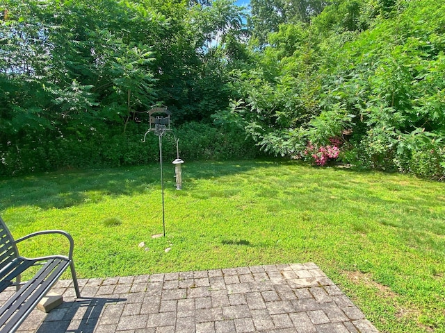 265 City Hill St Unit 6, Naugatuck, CT 06770 - photo 6