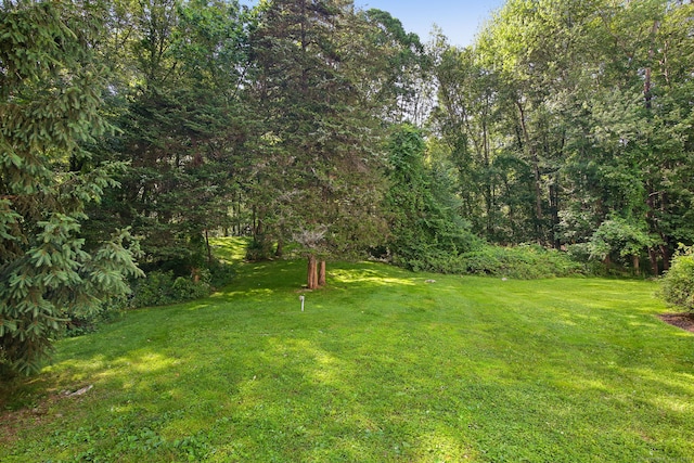 63 Pipers Hill Rd, Wilton, CT 06897 - view of green lawn