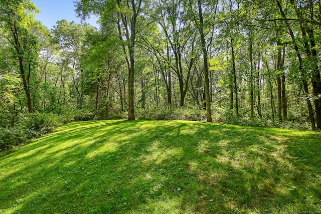 63 Pipers Hill Rd, Wilton, CT 06897 - view of green lawn