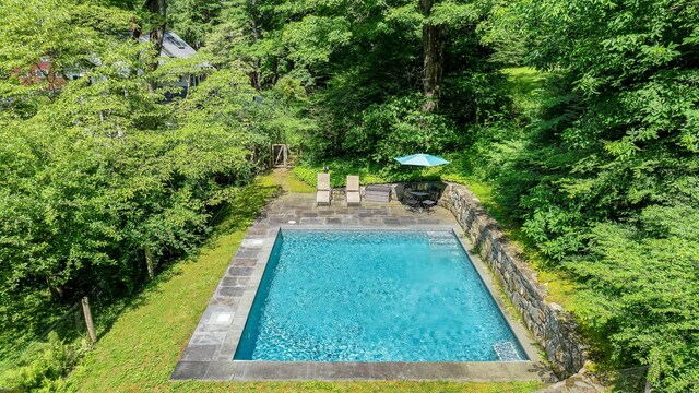 53 Bear Hill Rd, New Milford, CT 06776 - photo 36