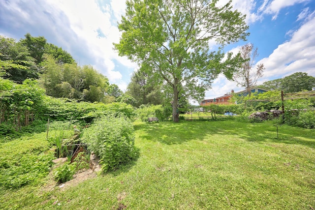 95 Hickory Rd, Naugatuck, CT 06770 - view of grassy yard