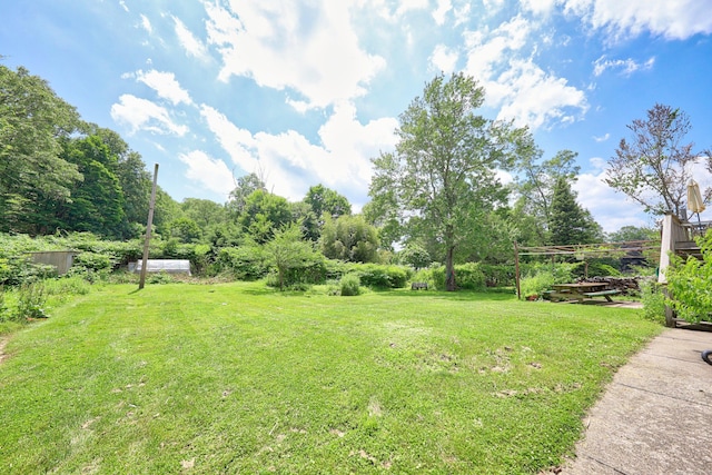 95 Hickory Rd, Naugatuck, CT 06770 - view of green lawn