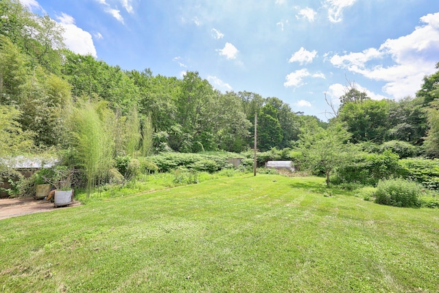 95 Hickory Rd, Naugatuck, CT 06770 - view of grassy yard