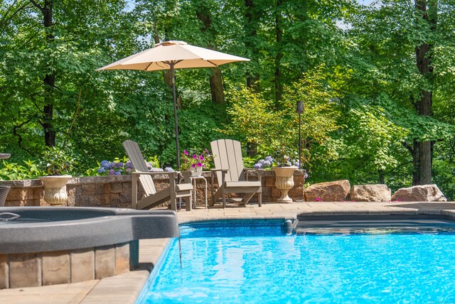 19 Pumpkin Hill Rd, Trumbull, CT 06611 - view of outdoor pool