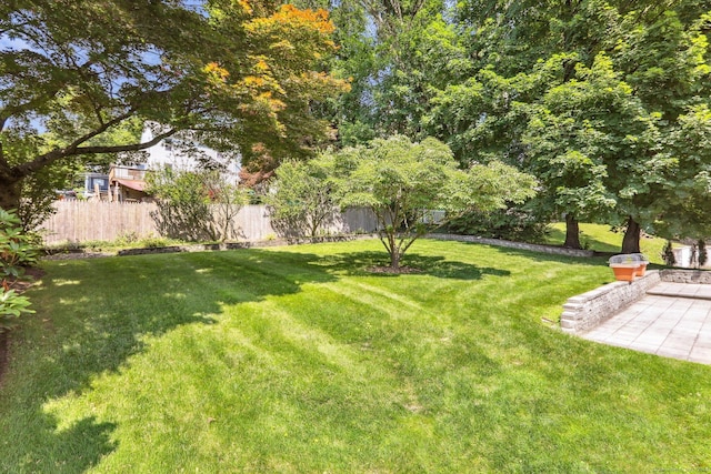 12 Lincoln Ave, Danbury, CT 06810 - view of yard