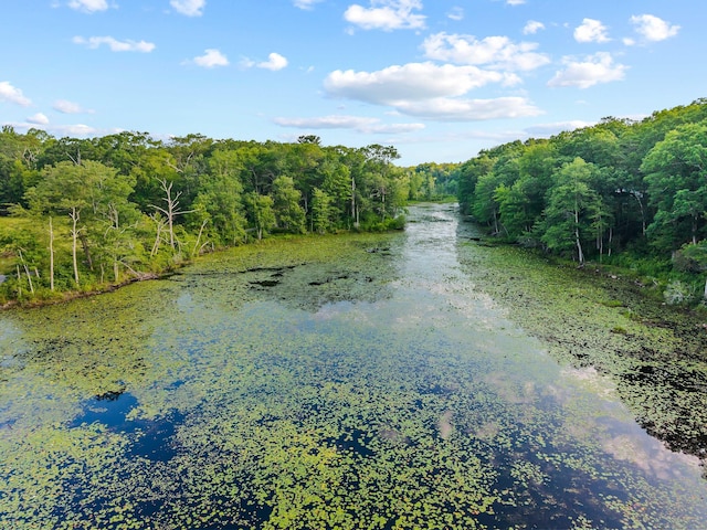 95 Cedar Swamp Rd, Chester, CT 06412 - water view with a forest