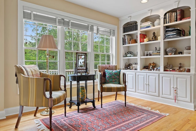 95 Cedar Swamp Rd, Chester, CT 06412 - living area with light wood-type flooring