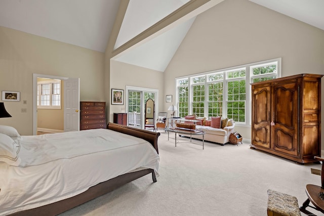 95 Cedar Swamp Rd, Chester, CT 06412 - bedroom with high vaulted ceiling and light colored carpet