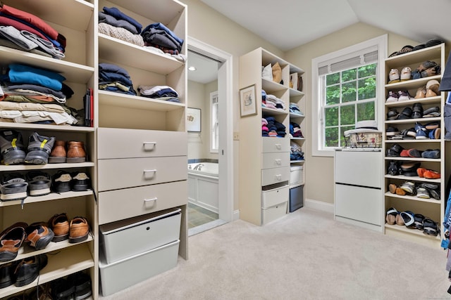 95 Cedar Swamp Rd, Chester, CT 06412 - spacious closet with carpet flooring and vaulted ceiling