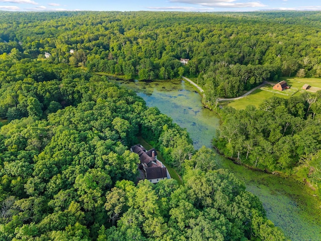 95 Cedar Swamp Rd, Chester, CT 06412 - aerial view of property's location with a forest