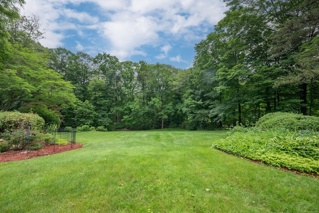 117 Long Meadow Hill Rd, Brookfield, CT 06804 - view of grassy yard featuring a forest view
