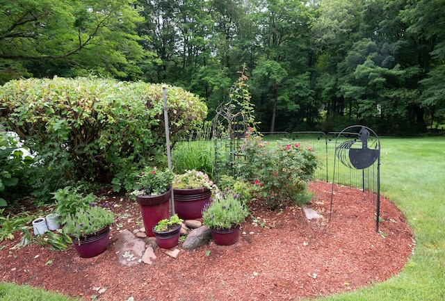 117 Long Meadow Hill Rd, Brookfield, CT 06804 - view of green lawn with a forest view