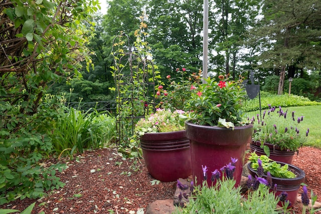 117 Long Meadow Hill Rd, Brookfield, CT 06804 - exterior view of a vegetable garden