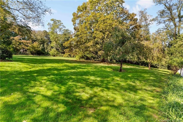 7 Calvin Rd, Wilton, CT 06897 - view of green lawn