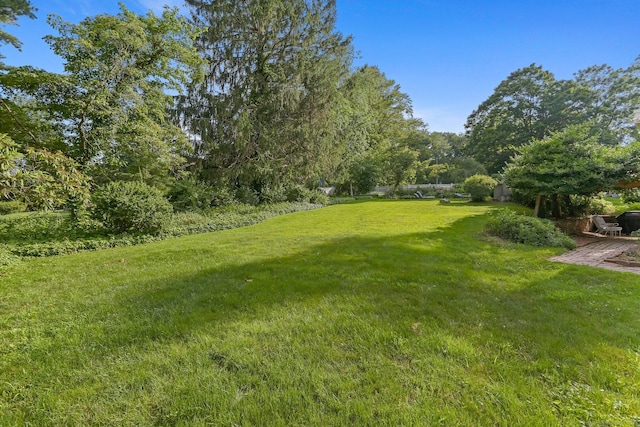 7 Calvin Rd, Wilton, CT 06897 - view of grassy yard