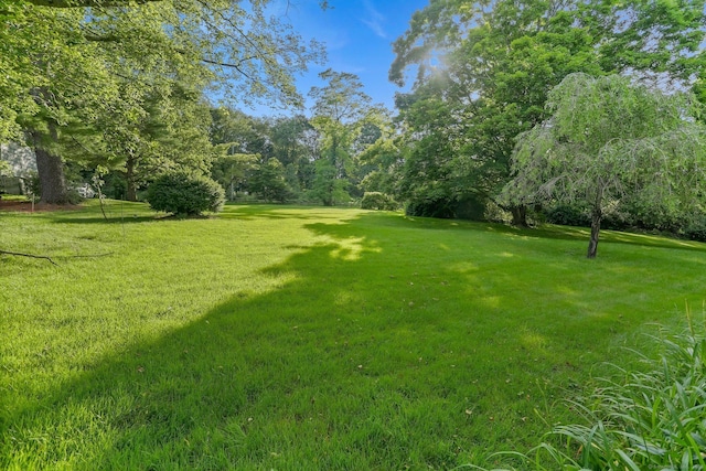 7 Calvin Rd, Wilton, CT 06897 - view of green lawn featuring view of scattered trees